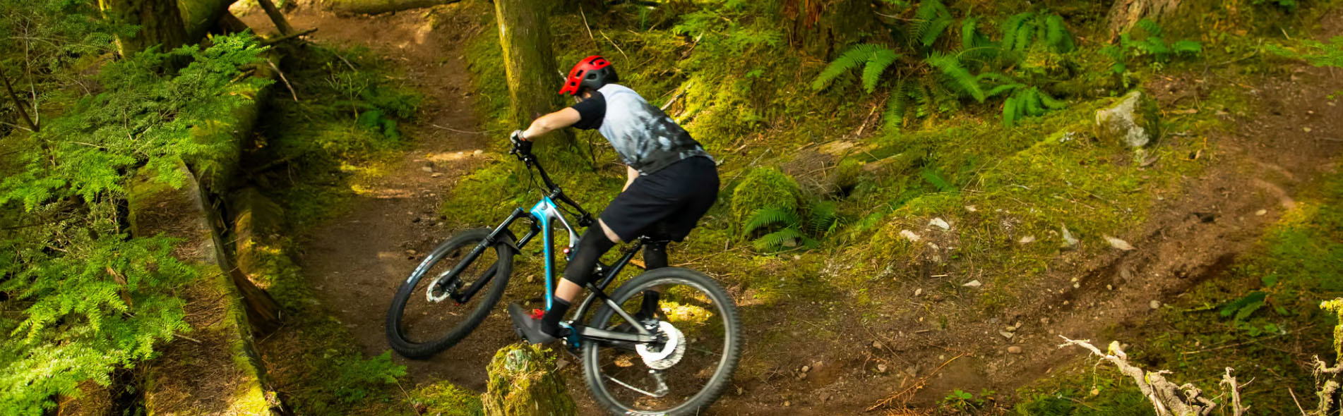 Vélo Pièces Magasin -Vélo Pièces Magasin dgfdg